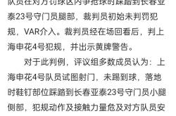 VAR判罚再引争议，拜仁对阵申花裁判判点引发巨大争议的简单介绍